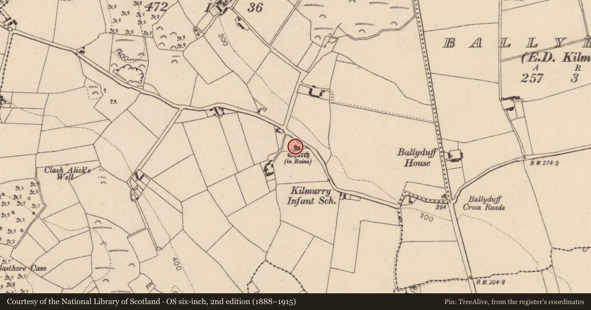 Ordnance Survey six-inch map, 2nd edition (1888–1915) covering the location of Church, Kilmurry, County Laois, with a pin at the register's coordinates
