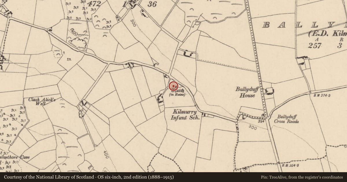 Ordnance Survey six-inch map, 2nd edition (1888–1915) covering the location of Graveyard, Kilmurry, County Laois, with a pin at the register's coordinates