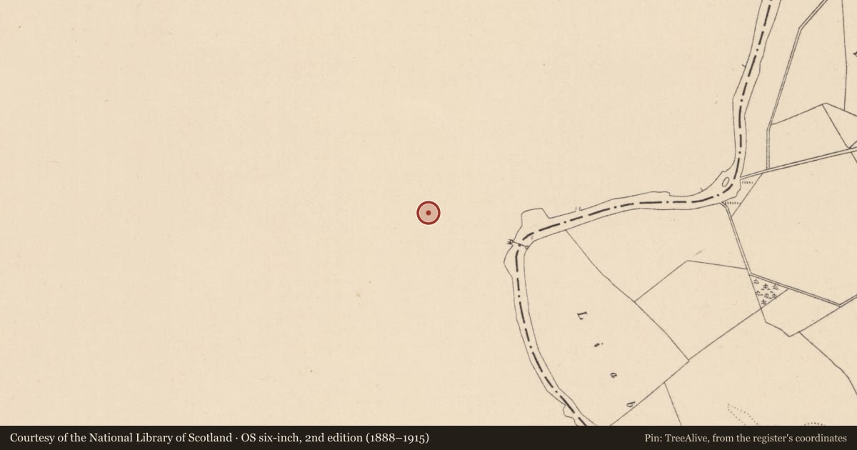Ordnance Survey six-inch map, 2nd edition (1888–1915) covering the location of Ringfort - rath, Vicarstown (Dodd), County Laois, with a pin at the register's coordinates