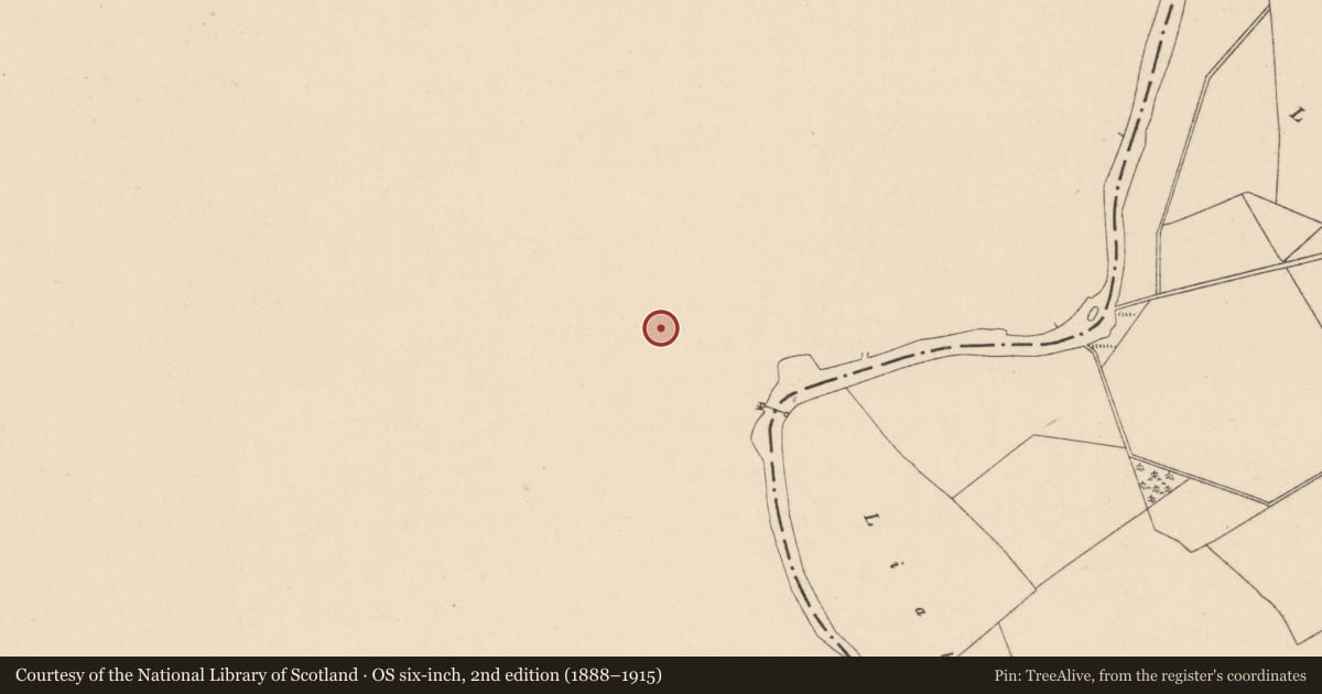 Ordnance Survey six-inch map, 2nd edition (1888–1915) covering the location of Settlement deserted - medieval, Courtwood, Vicarstown (Dodd), County Laois, with a pin at the register's coordinates