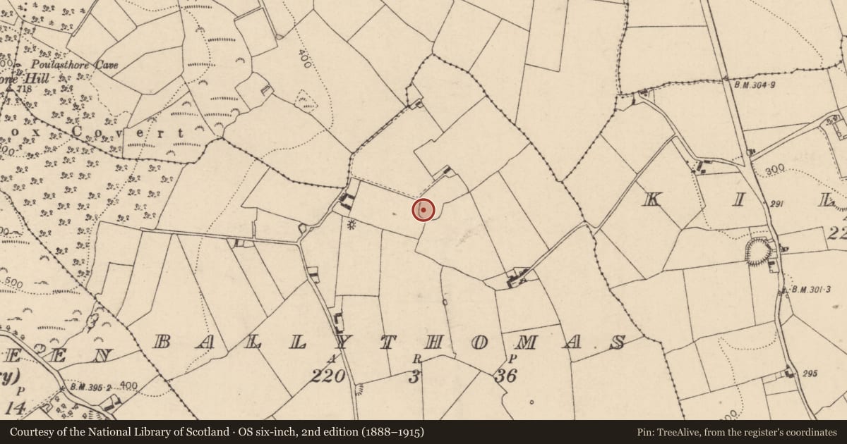 Ordnance Survey six-inch map, 2nd edition (1888–1915) covering the location of Ringfort - rath, Ballythomas, County Laois, with a pin at the register's coordinates