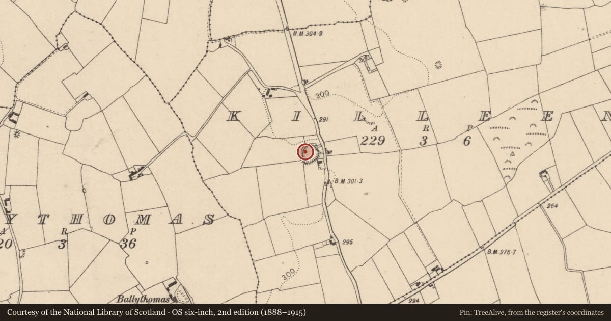 Ordnance Survey six-inch map, 2nd edition (1888–1915) covering the location of Enclosure, Killeen, County Laois, with a pin at the register's coordinates