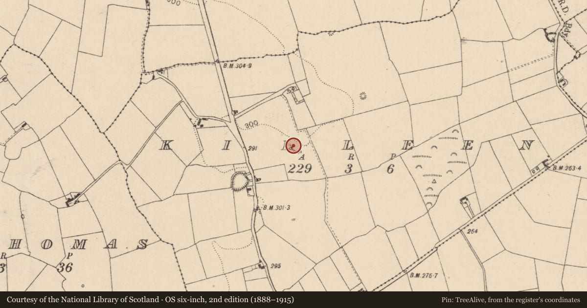 Ordnance Survey six-inch map, 2nd edition (1888–1915) covering the location of Enclosure, Killeen, County Laois, with a pin at the register's coordinates