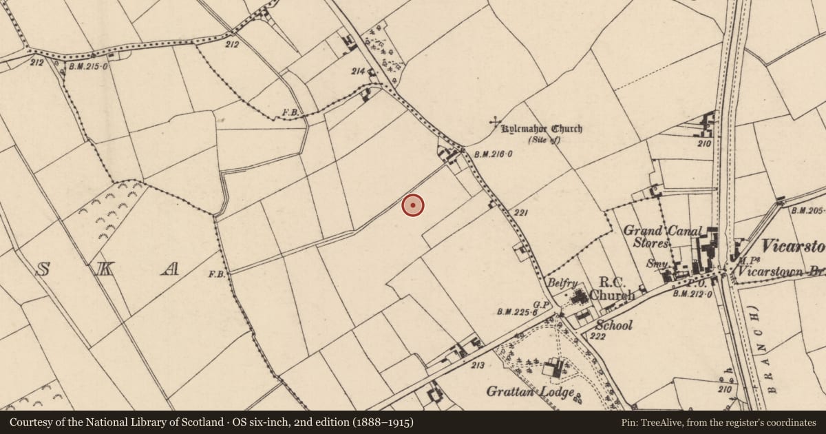 Ordnance Survey six-inch map, 2nd edition (1888–1915) covering the location of Enclosure, Vicarstown (Cosby), County Laois, with a pin at the register's coordinates