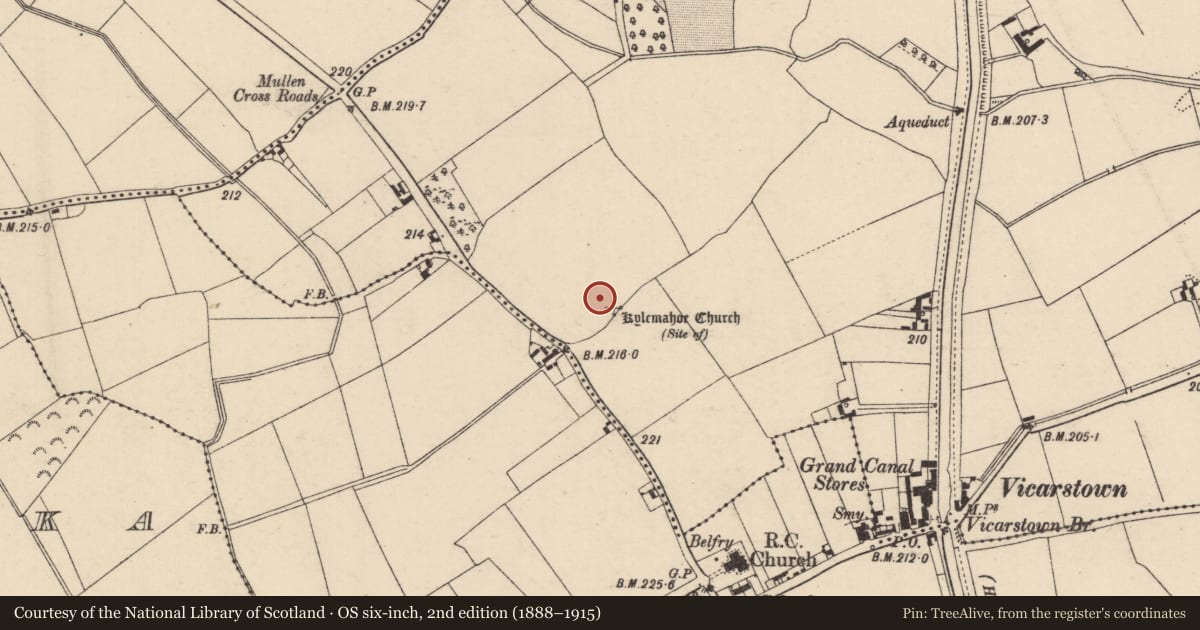 Ordnance Survey six-inch map, 2nd edition (1888–1915) covering the location of Graveyard, Vicarstown (Dodd), County Laois, with a pin at the register's coordinates