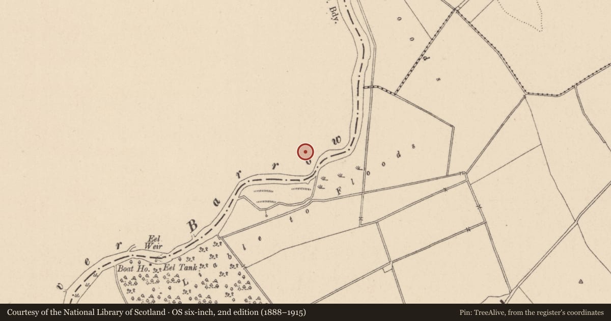 Ordnance Survey six-inch map, 2nd edition (1888–1915) covering the location of Enclosure, Vicarstown (Dodd), County Laois, with a pin at the register's coordinates