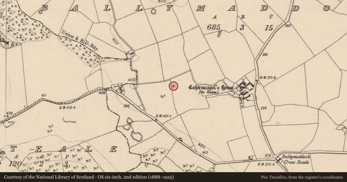Ordnance Survey six-inch map, 2nd edition (1888–1915) covering the location of Castle - unclassified, Ballymaddock, County Laois, with a pin at the register's coordinates