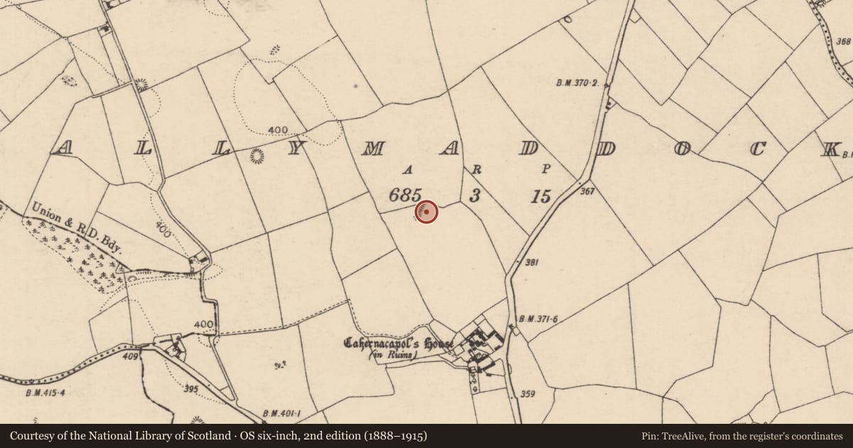 Ordnance Survey six-inch map, 2nd edition (1888–1915) covering the location of Enclosure, Ballymaddock, County Laois, with a pin at the register's coordinates