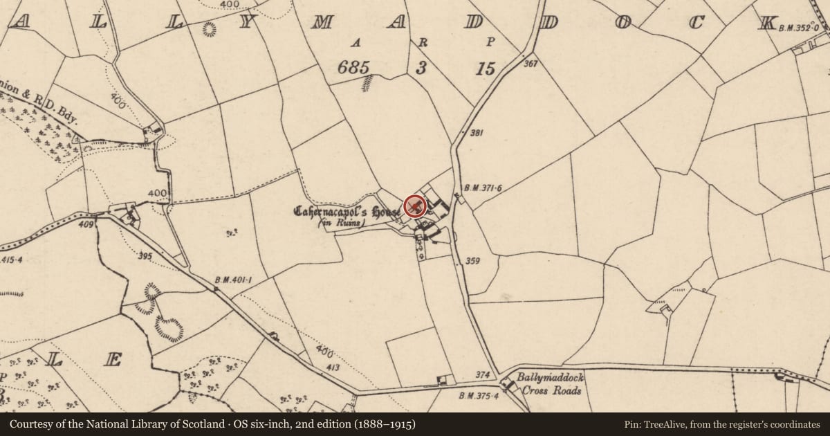 Ordnance Survey six-inch map, 2nd edition (1888–1915) covering the location of House - fortified house, Ballymaddock, County Laois, with a pin at the register's coordinates