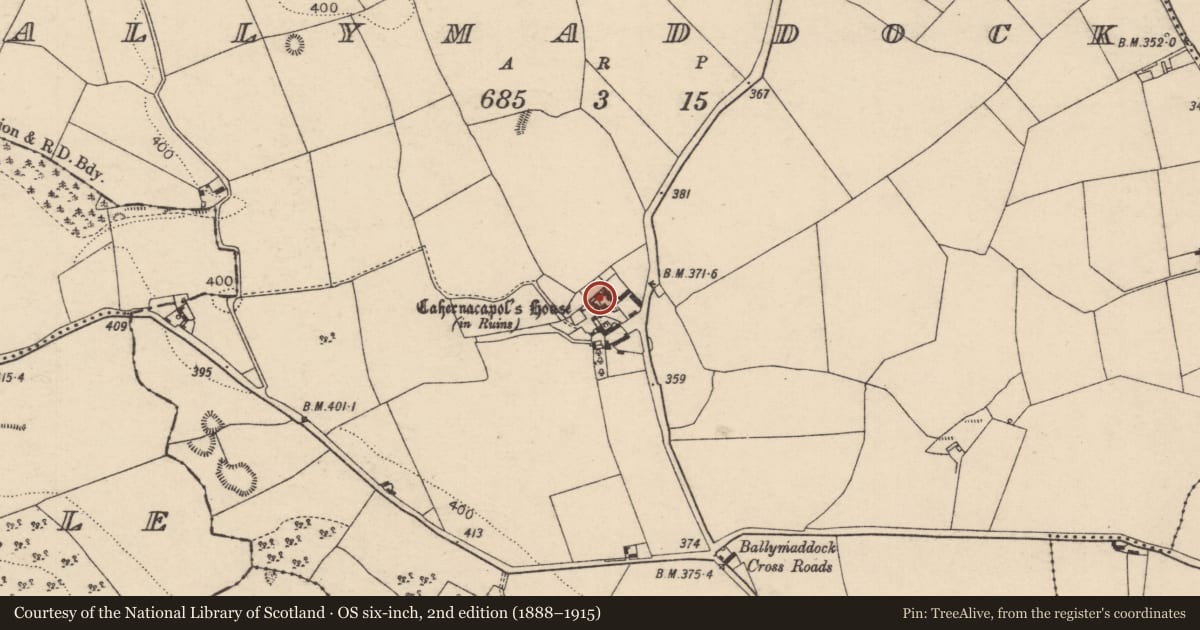 Ordnance Survey six-inch map, 2nd edition (1888–1915) covering the location of Bawn, Ballymaddock, County Laois, with a pin at the register's coordinates