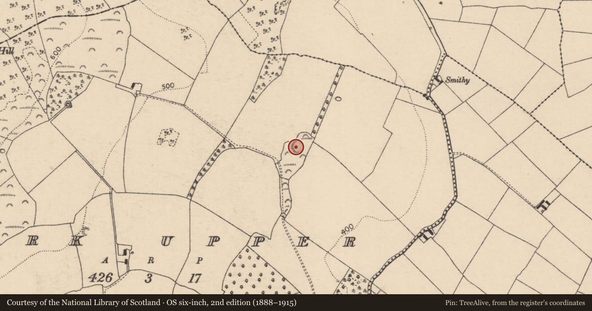 Ordnance Survey six-inch map, 2nd edition (1888–1915) covering the location of Enclosure, Park Upper, County Laois, with a pin at the register's coordinates