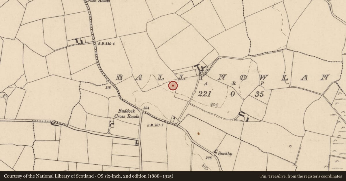 Ordnance Survey six-inch map, 2nd edition (1888–1915) covering the location of Moated site, Ballynowlan, County Laois, with a pin at the register's coordinates