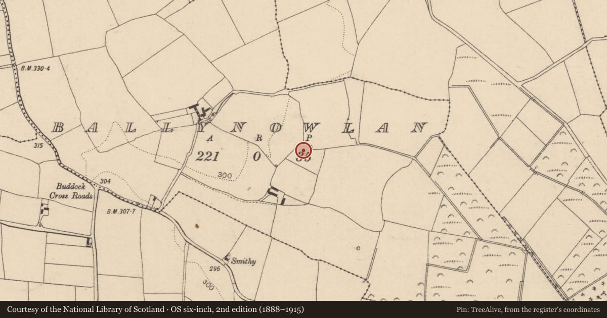Ordnance Survey six-inch map, 2nd edition (1888–1915) covering the location of Enclosure, Ballynowlan, County Laois, with a pin at the register's coordinates