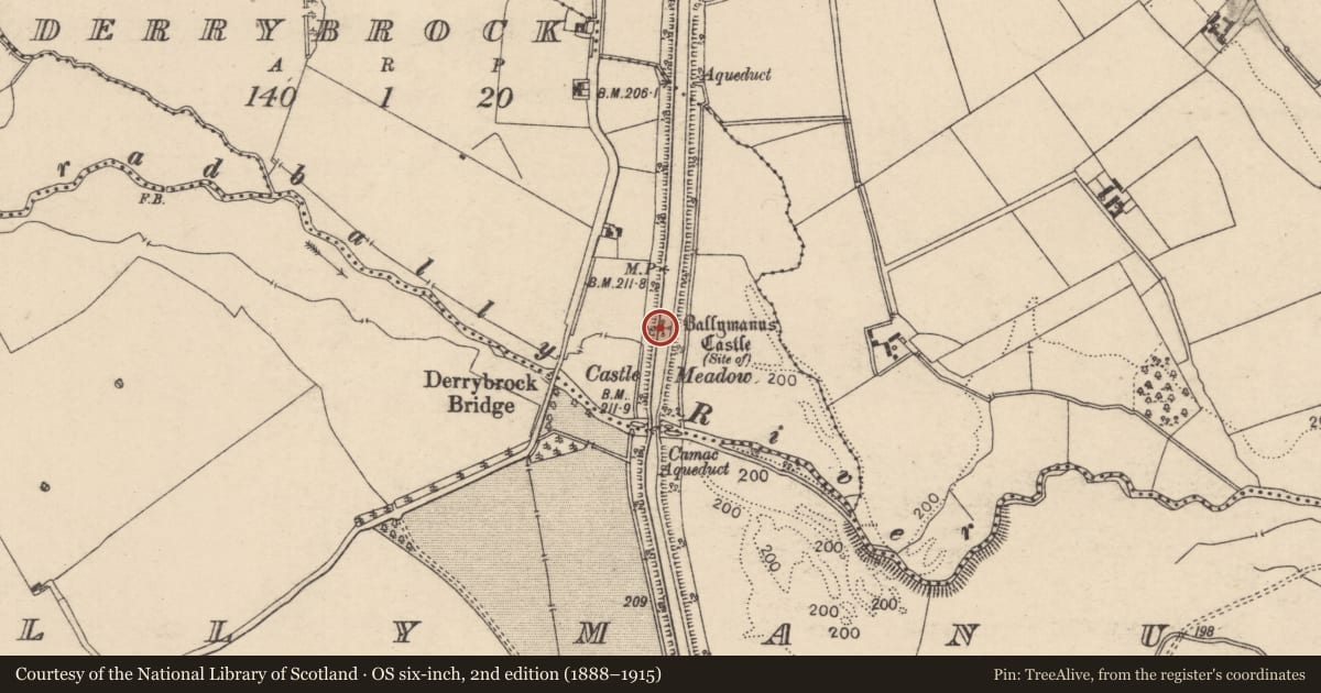 Ordnance Survey six-inch map, 2nd edition (1888–1915) covering the location of Castle - unclassified, Derrybrock, County Laois, with a pin at the register's coordinates