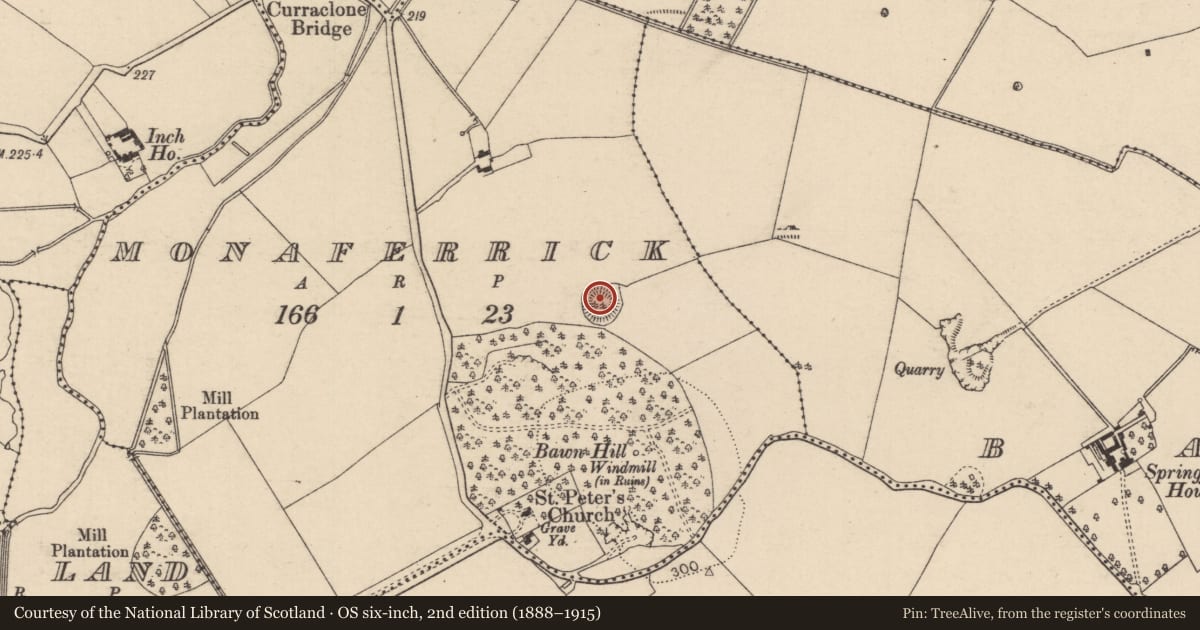 Ordnance Survey six-inch map, 2nd edition (1888–1915) covering the location of Ringfort - rath, Monaferrick, County Laois, with a pin at the register's coordinates