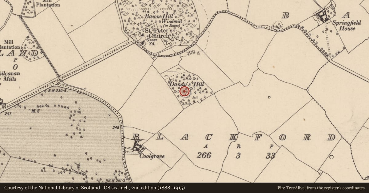 Ordnance Survey six-inch map, 2nd edition (1888–1915) covering the location of Ringfort - rath, Blackford, County Laois, with a pin at the register's coordinates
