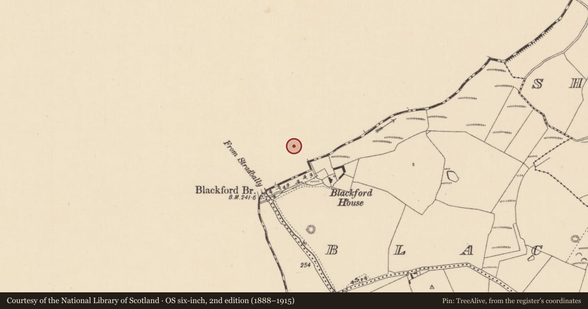 Ordnance Survey six-inch map, 2nd edition (1888–1915) covering the location of Castle - tower house, Blackford, County Laois, with a pin at the register's coordinates