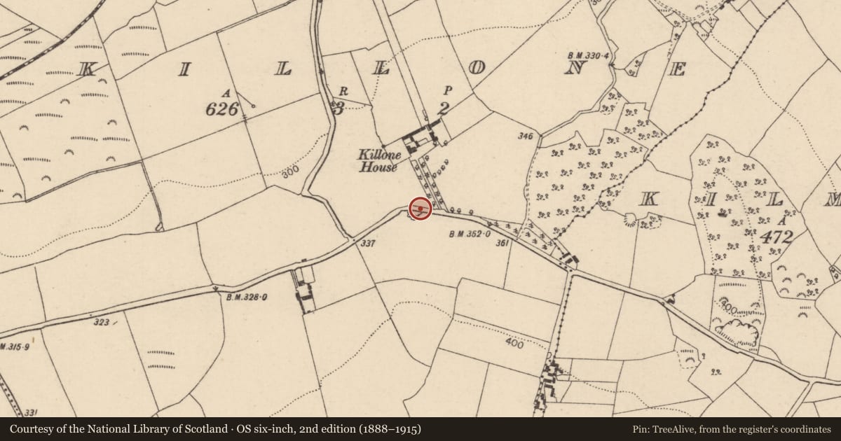 Ordnance Survey six-inch map, 2nd edition (1888–1915) covering the location of Bullaun stone, Killone, County Laois, with a pin at the register's coordinates