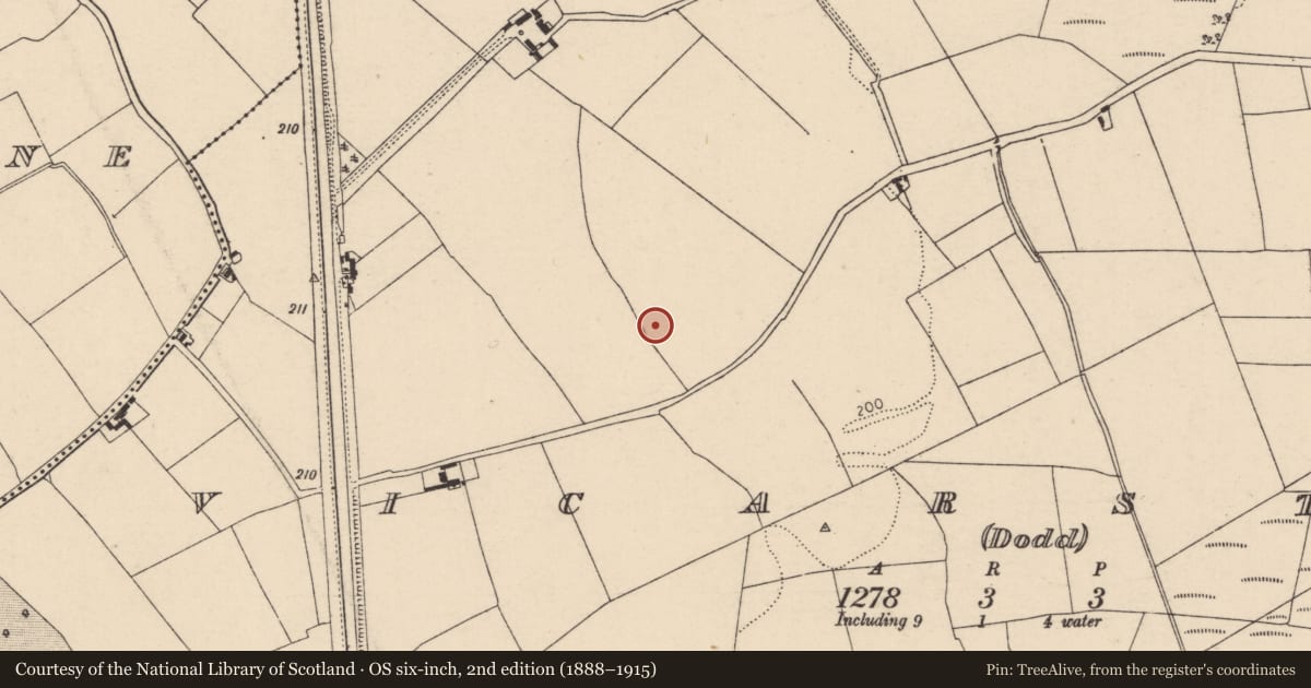 Ordnance Survey six-inch map, 2nd edition (1888–1915) covering the location of Enclosure, Vicarstown (Dodd), County Laois, with a pin at the register's coordinates