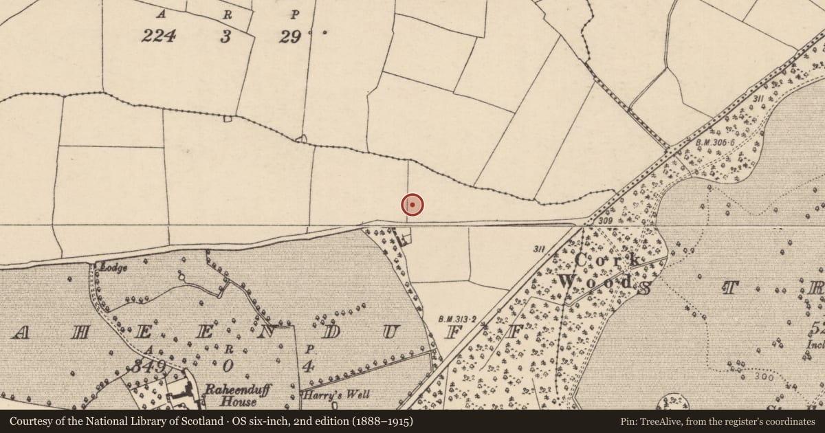 Ordnance Survey six-inch map, 2nd edition (1888–1915) covering the location of Enclosure, Raheenduff, County Laois, with a pin at the register's coordinates