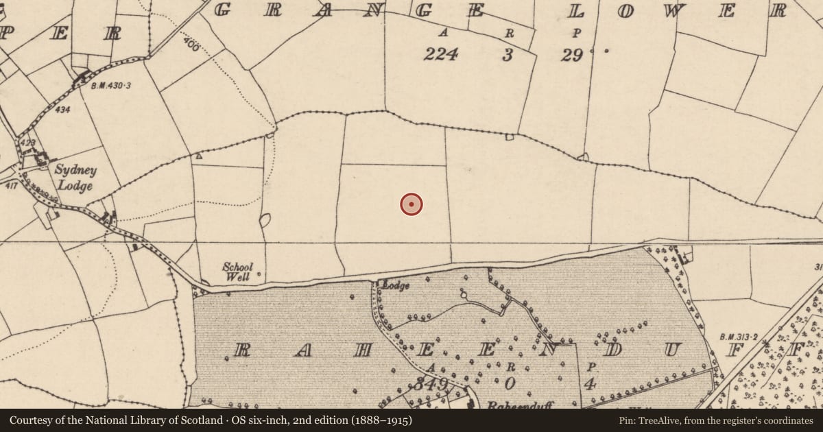 Ordnance Survey six-inch map, 2nd edition (1888–1915) covering the location of Enclosure, Raheenduff, County Laois, with a pin at the register's coordinates