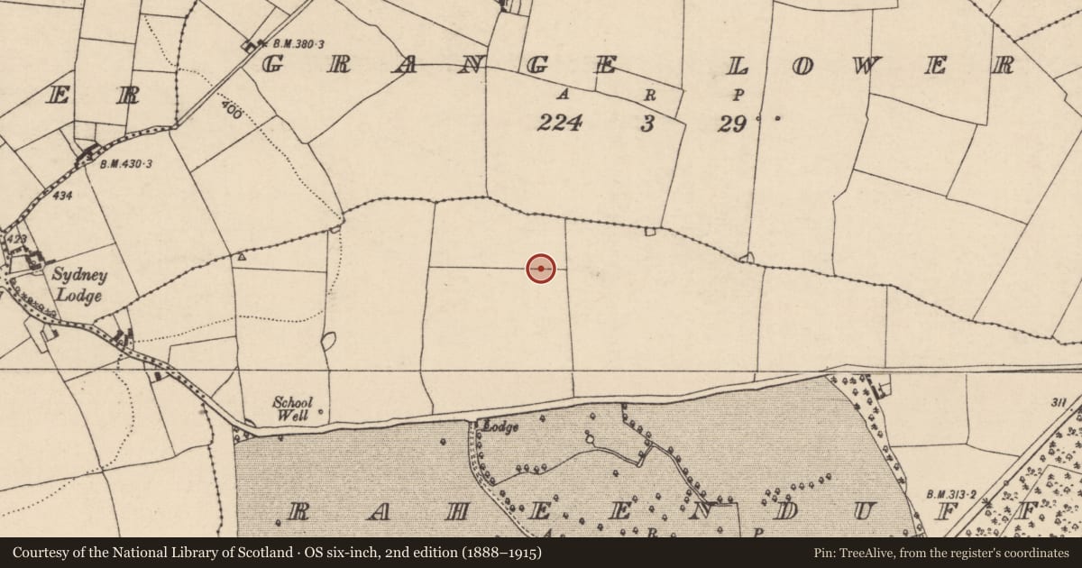 Ordnance Survey six-inch map, 2nd edition (1888–1915) covering the location of Enclosure, Raheenduff, County Laois, with a pin at the register's coordinates