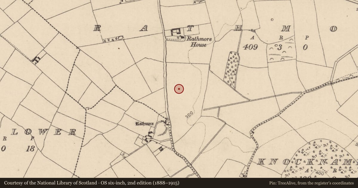 Ordnance Survey six-inch map, 2nd edition (1888–1915) covering the location of Enclosure, Rathmore, County Laois, with a pin at the register's coordinates