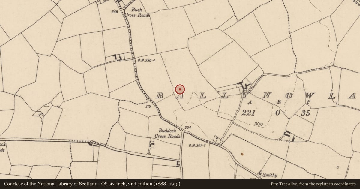 Ordnance Survey six-inch map, 2nd edition (1888–1915) covering the location of Concentric enclosure, Ballynowlan, County Laois, with a pin at the register's coordinates