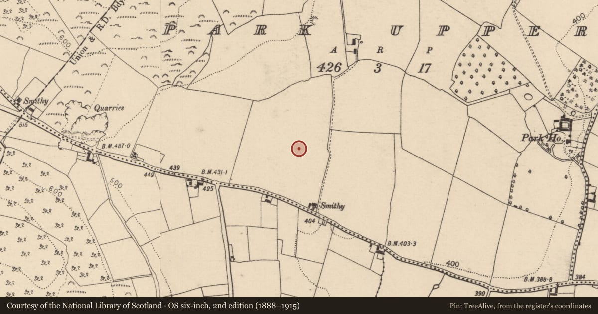 Ordnance Survey six-inch map, 2nd edition (1888–1915) covering the location of Ring-ditch, Park Upper, County Laois, with a pin at the register's coordinates