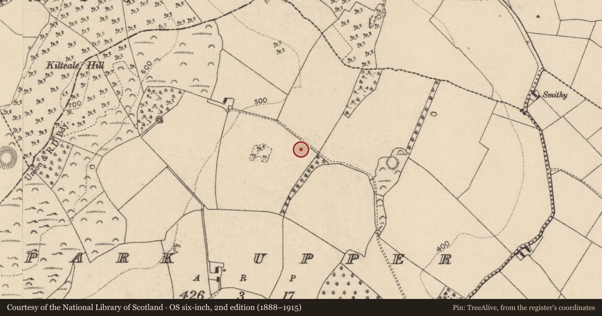 Ordnance Survey six-inch map, 2nd edition (1888–1915) covering the location of Enclosure, Park Upper, County Laois, with a pin at the register's coordinates