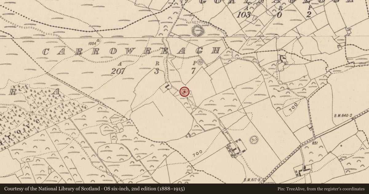 Ordnance Survey six-inch map, 2nd edition (1888–1915) covering the location of Fulacht fia, Carrowreagh, County Laois, with a pin at the register's coordinates