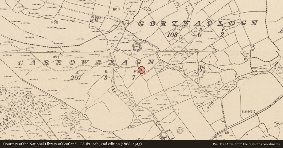 Ordnance Survey six-inch map, 2nd edition (1888–1915) covering the location of Barrow - bowl-barrow, Carrowreagh, County Laois, with a pin at the register's coordinates