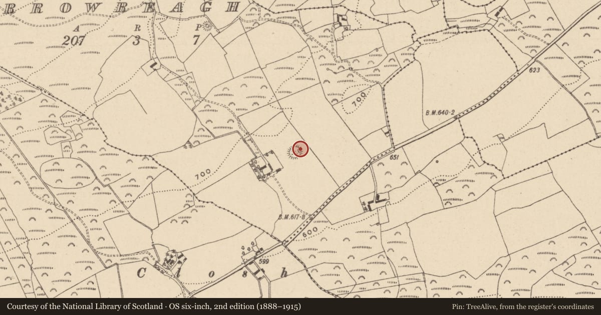 Ordnance Survey six-inch map, 2nd edition (1888–1915) covering the location of Ringfort - rath, Carrowreagh, County Laois, with a pin at the register's coordinates