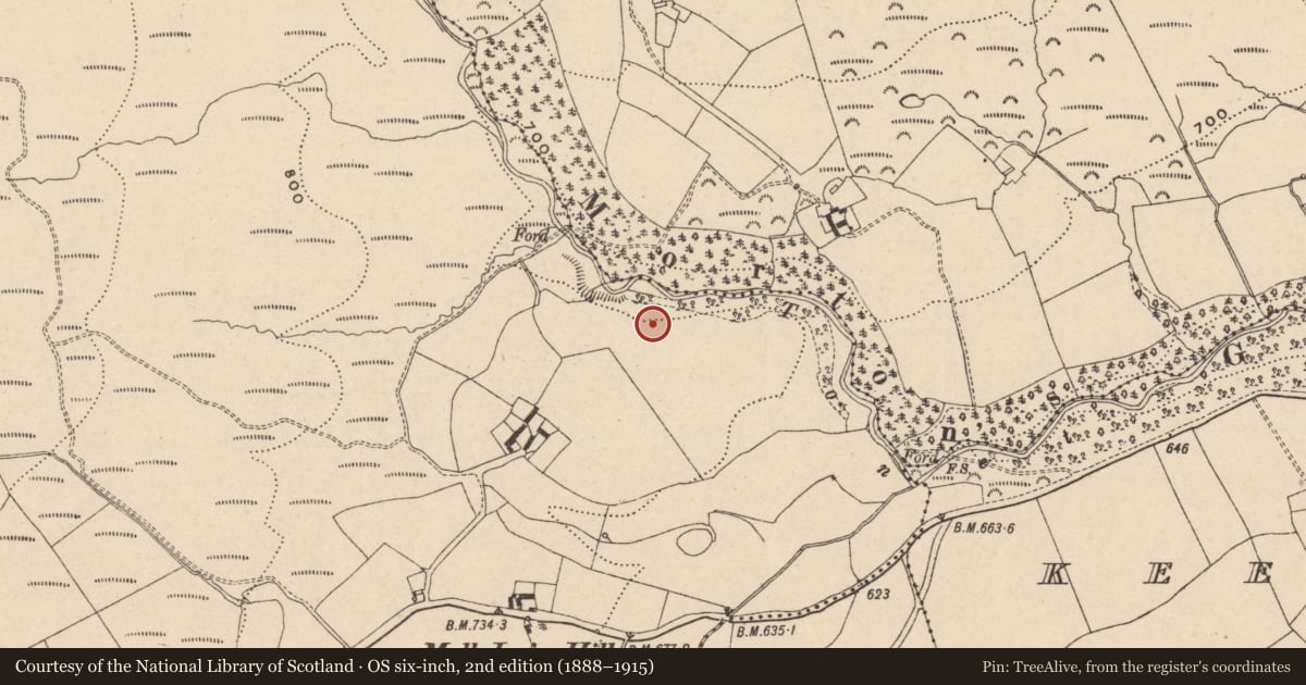 Ordnance Survey six-inch map, 2nd edition (1888–1915) covering the location of Enclosure, Garranbaun, County Laois, with a pin at the register's coordinates