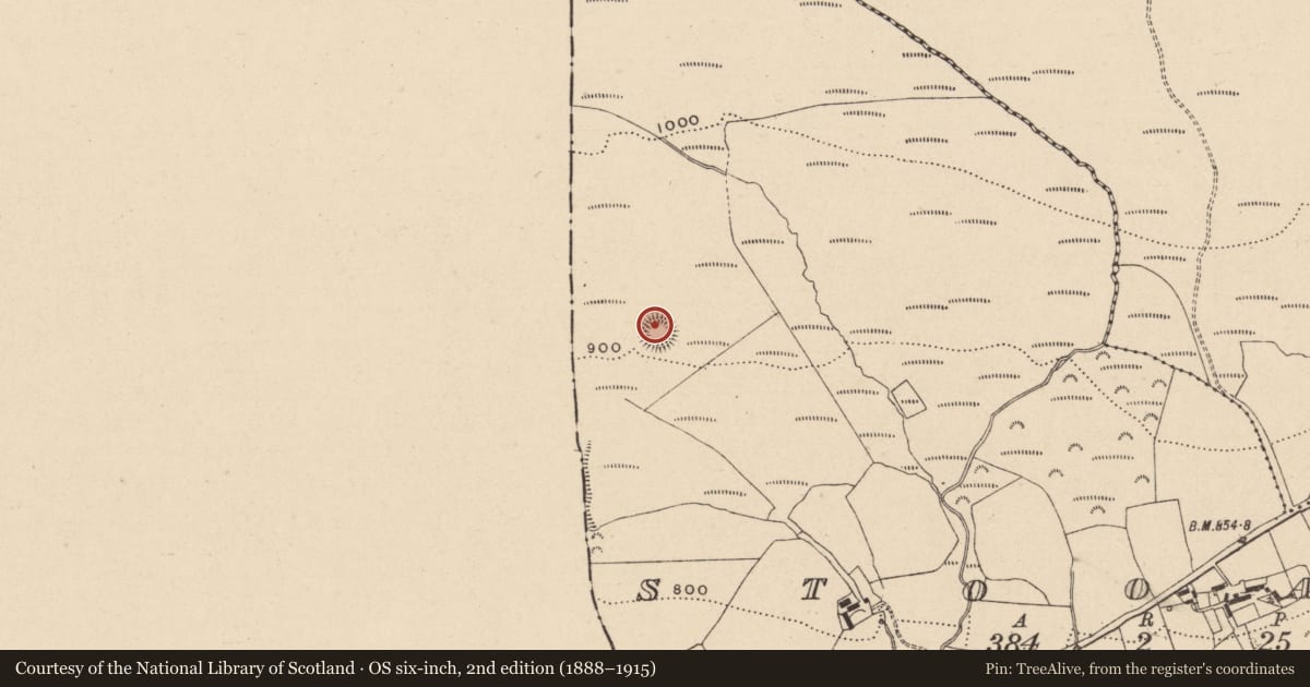 Ordnance Survey six-inch map, 2nd edition (1888–1915) covering the location of Ringfort - rath, Stooagh, County Laois, with a pin at the register's coordinates