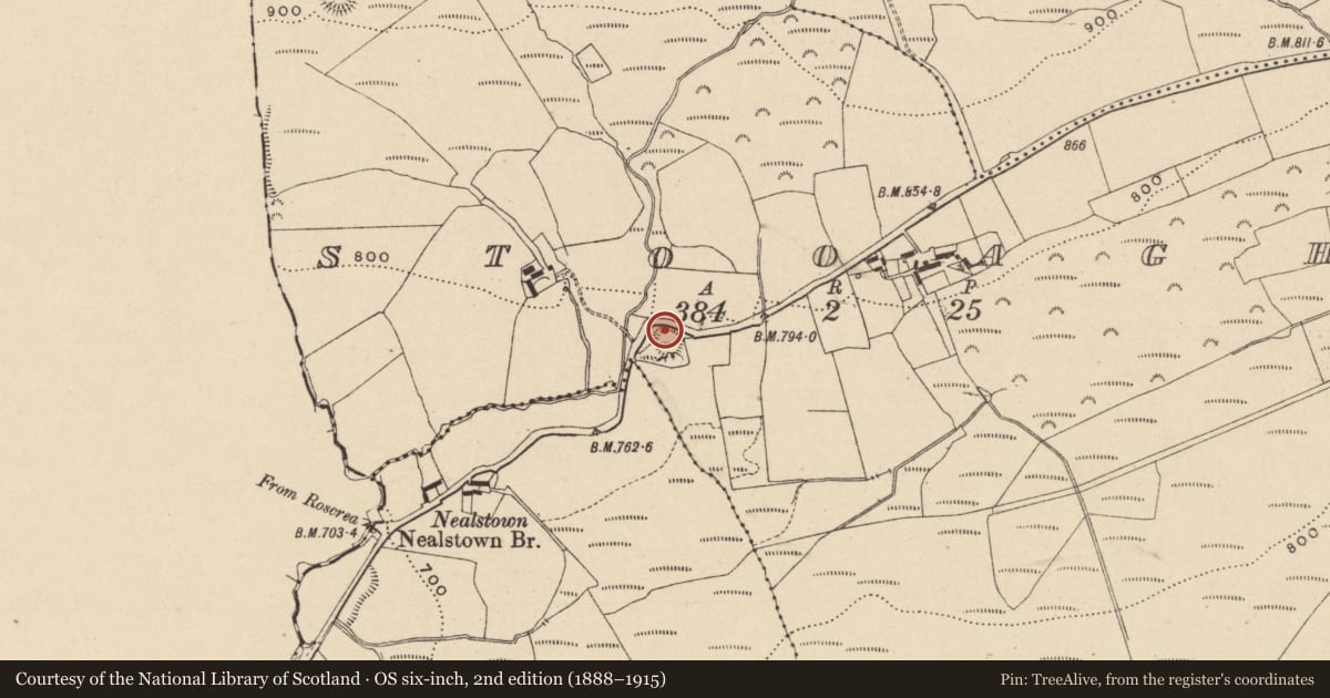 Ordnance Survey six-inch map, 2nd edition (1888–1915) covering the location of Ringfort - rath, Stooagh, County Laois, with a pin at the register's coordinates