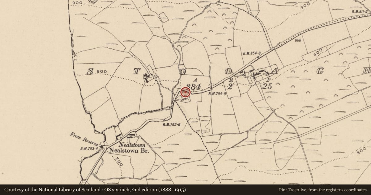 Ordnance Survey six-inch map, 2nd edition (1888–1915) covering the location of Souterrain, Stooagh, County Laois, with a pin at the register's coordinates