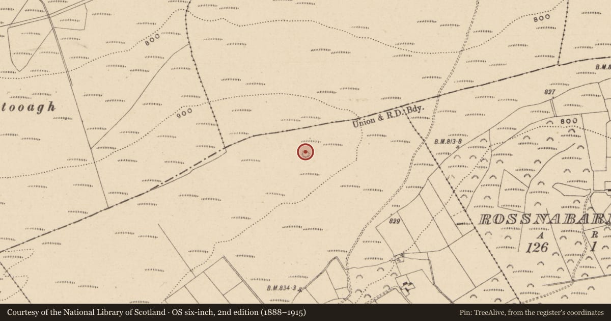 Ordnance Survey six-inch map, 2nd edition (1888–1915) covering the location of Enclosure, Rossbaun, County Laois, with a pin at the register's coordinates