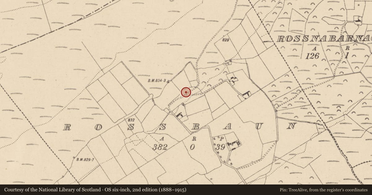 Ordnance Survey six-inch map, 2nd edition (1888–1915) covering the location of Enclosure, Rossbaun, County Laois, with a pin at the register's coordinates
