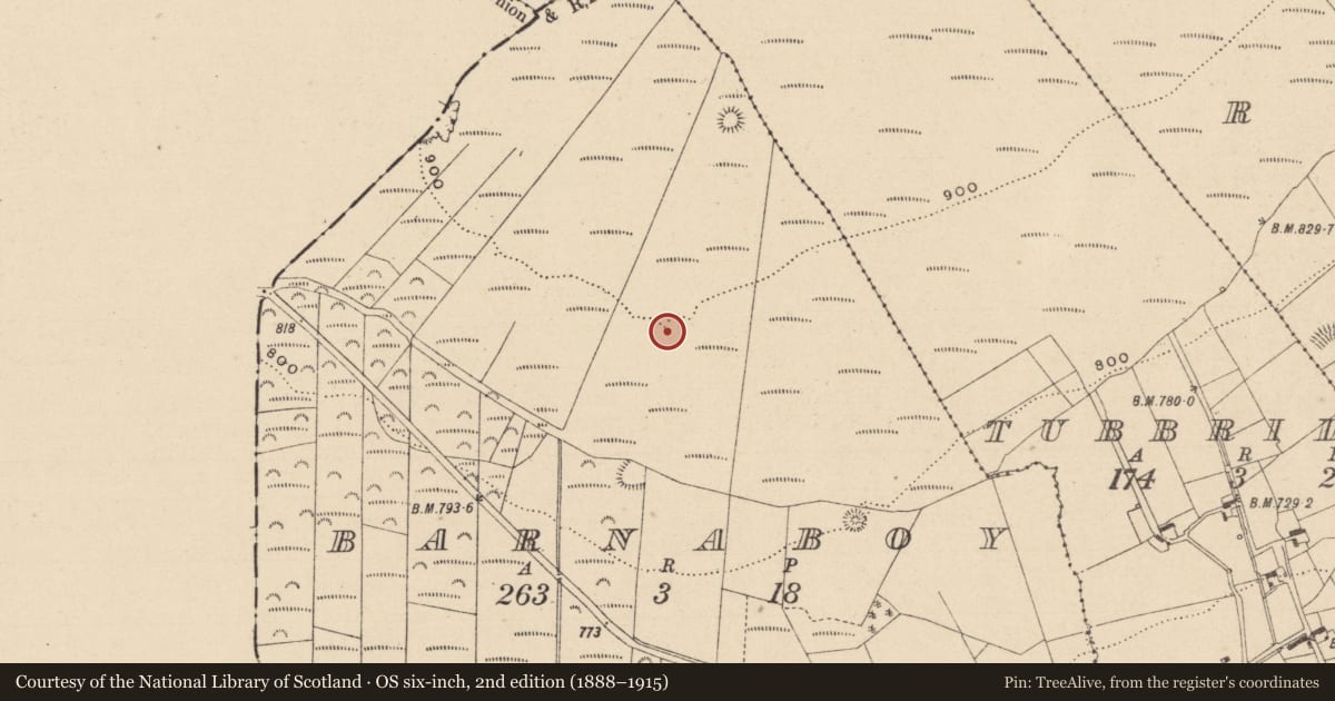 Ordnance Survey six-inch map, 2nd edition (1888–1915) covering the location of Enclosure, Barnaboy, County Laois, with a pin at the register's coordinates