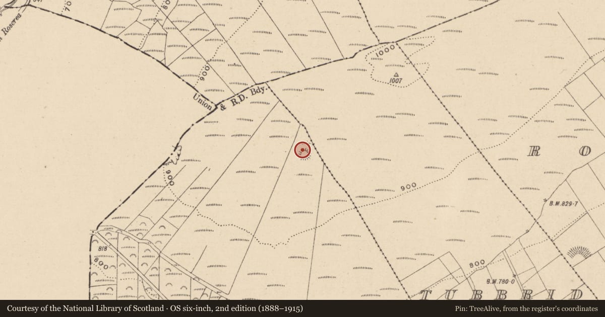 Ordnance Survey six-inch map, 2nd edition (1888–1915) covering the location of Ringfort - rath, Barnaboy, County Laois, with a pin at the register's coordinates