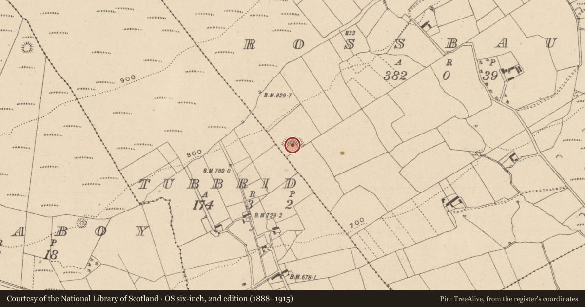 Ordnance Survey six-inch map, 2nd edition (1888–1915) covering the location of Ringfort - rath, Rossbaun, County Laois, with a pin at the register's coordinates