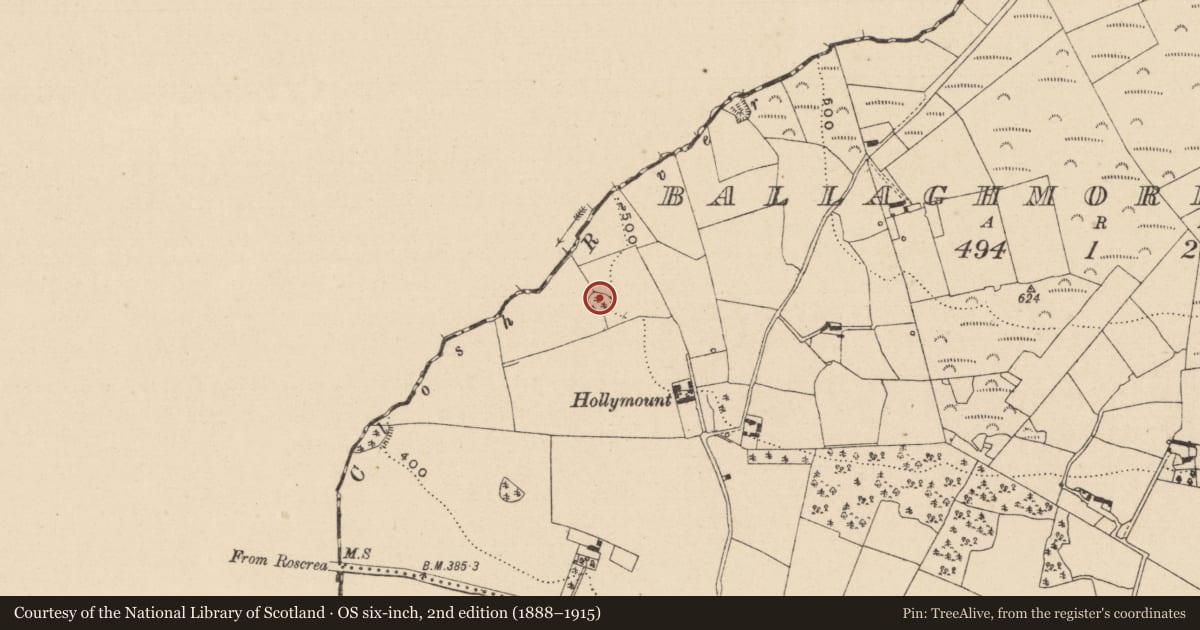 Ordnance Survey six-inch map, 2nd edition (1888–1915) covering the location of Enclosure, Ballaghmore Upper, County Laois, with a pin at the register's coordinates