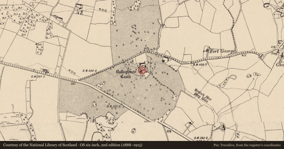 Ordnance Survey six-inch map, 2nd edition (1888–1915) covering the location of Castle - tower house, Ballaghmore Lower, County Laois, with a pin at the register's coordinates