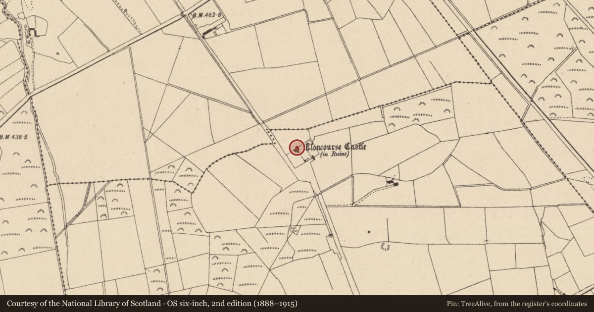 Ordnance Survey six-inch map, 2nd edition (1888–1915) covering the location of Inscribed stone, Cloncourse, County Laois, with a pin at the register's coordinates