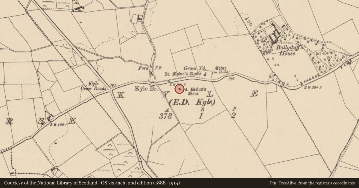 Ordnance Survey six-inch map, 2nd edition (1888–1915) covering the location of Bullaun stone, Kyle, County Laois, with a pin at the register's coordinates
