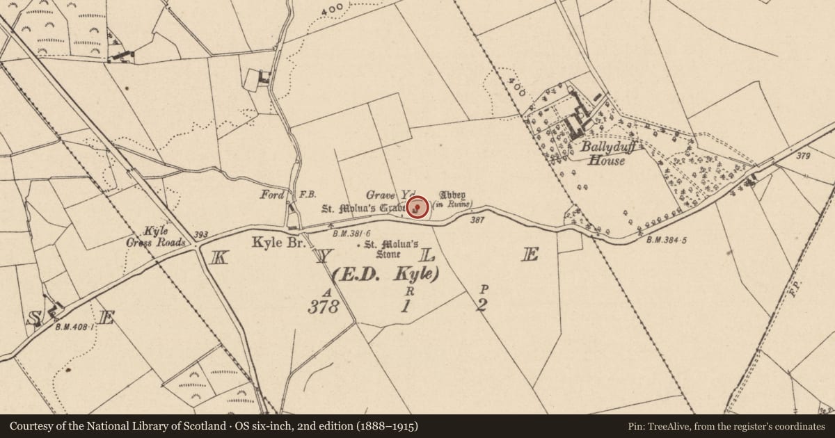 Ordnance Survey six-inch map, 2nd edition (1888–1915) covering the location of Church, Kyle, County Laois, with a pin at the register's coordinates