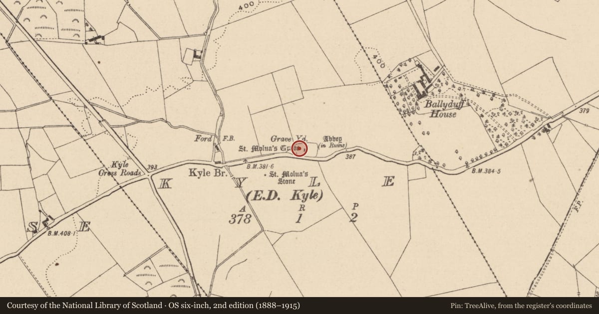 Ordnance Survey six-inch map, 2nd edition (1888–1915) covering the location of Graveyard, Kyle, County Laois, with a pin at the register's coordinates