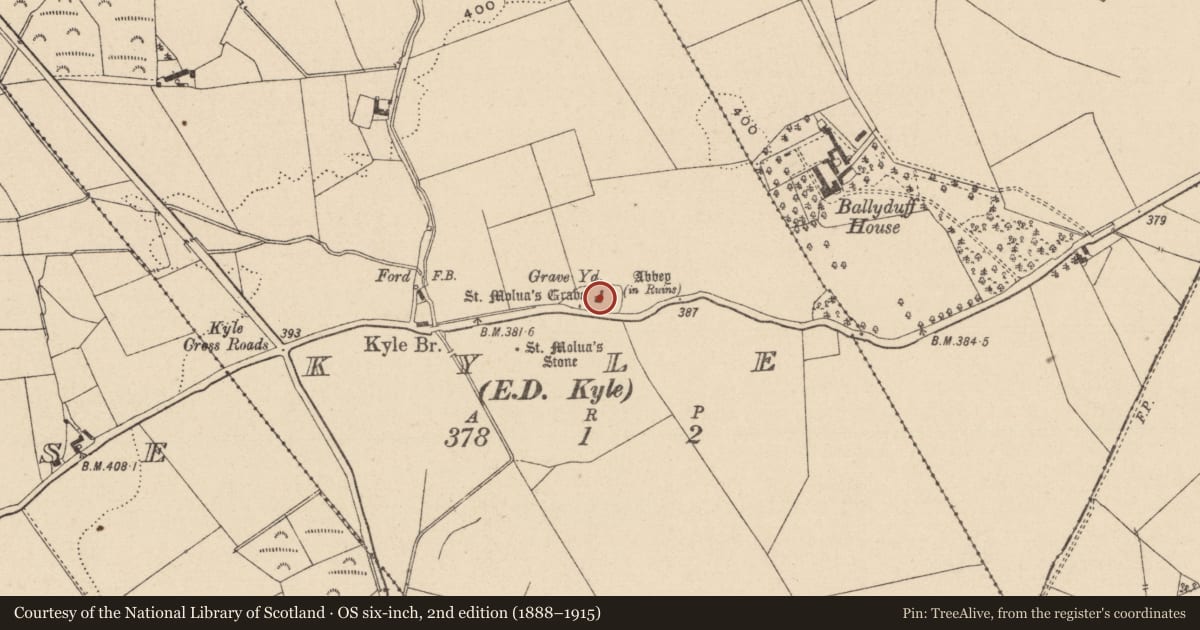 Ordnance Survey six-inch map, 2nd edition (1888–1915) covering the location of Architectural fragment, Kyle, County Laois, with a pin at the register's coordinates