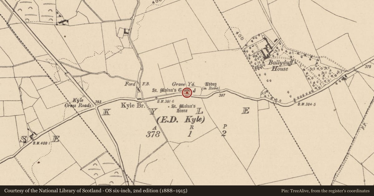 Ordnance Survey six-inch map, 2nd edition (1888–1915) covering the location of Sarcophagus, Kyle, County Laois, with a pin at the register's coordinates